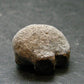 A Perfect Staurolite Crystal on Matrix from Russia - 0.9" - 7.88 Grams