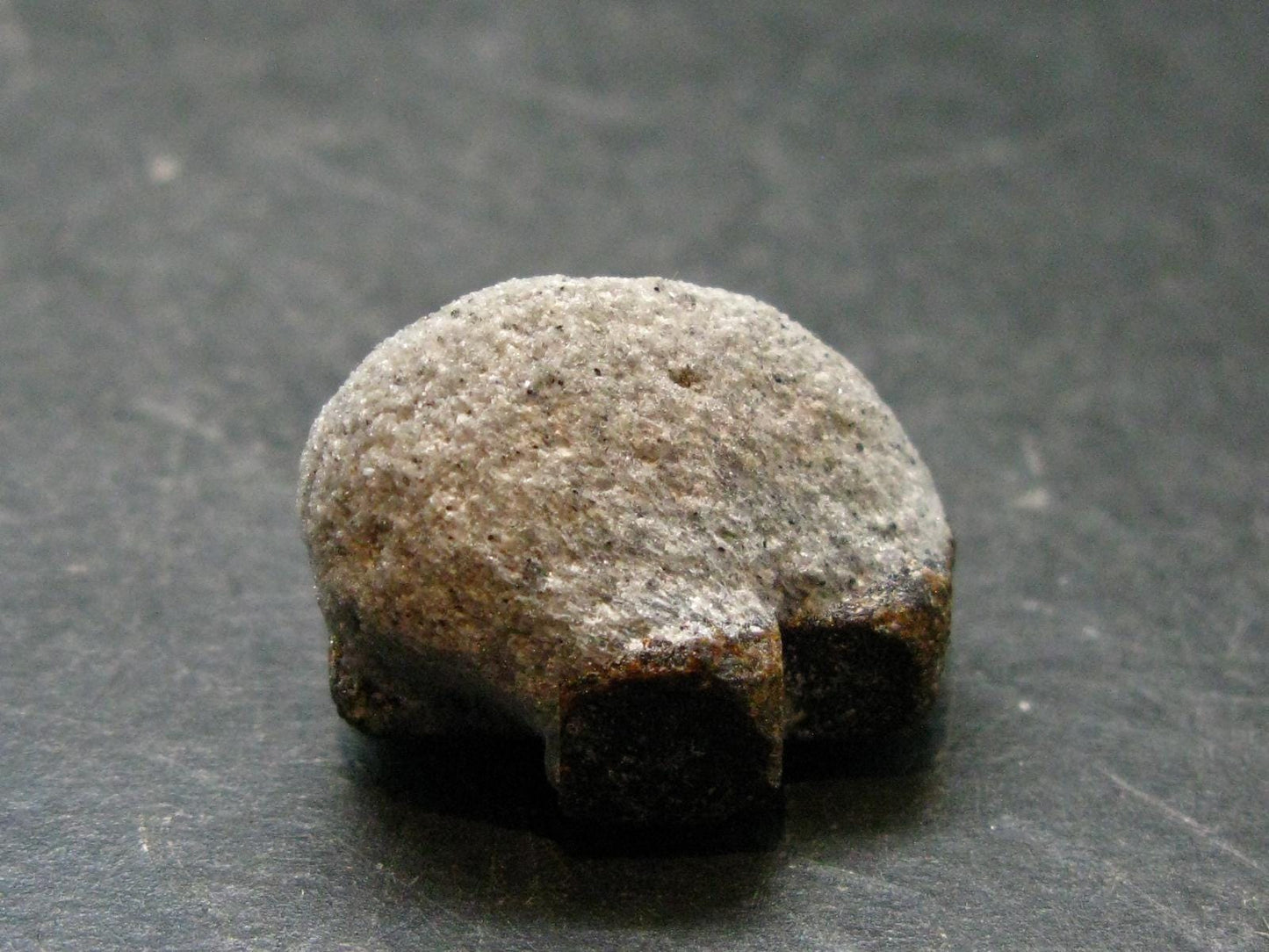 A Perfect Staurolite Crystal on Matrix from Russia - 0.9" - 7.88 Grams