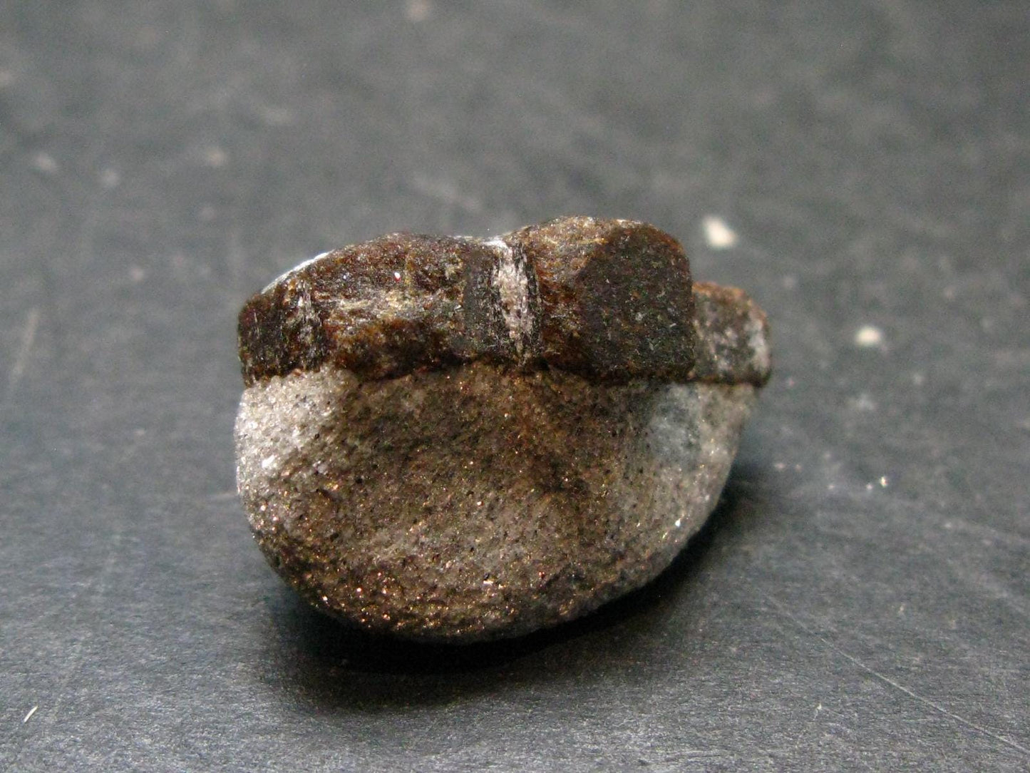 A Perfect Staurolite Crystal on Matrix from Russia - 0.9" - 7.88 Grams