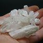 Nice Lot of 25 Danburite Crystals From Mexico - 222.35 Carats