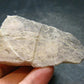 Phenakite Phenacite Polished Slice From Brazil - 36.55 Grams - 2.3"