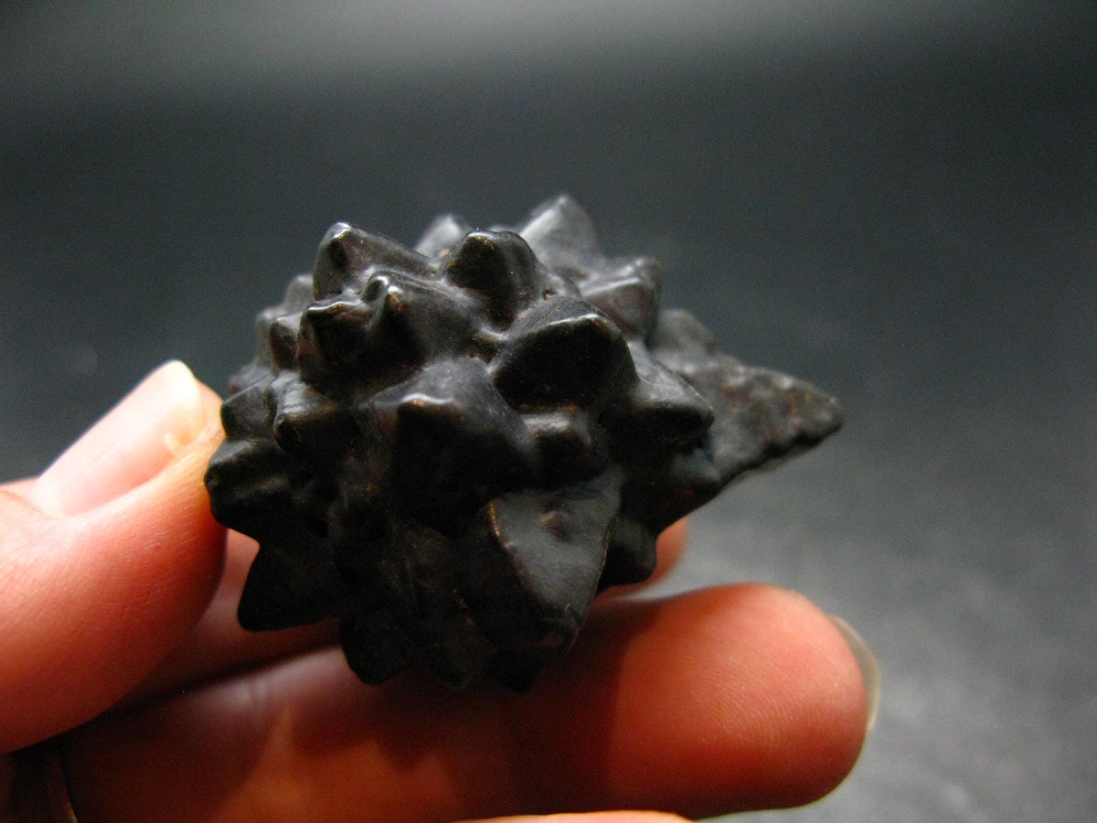 Very rare Z-Stone (Limonite after Marcasite) from Sahara Dessert, Egypt - 1.7" - 49.14 Grams