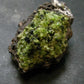 Rare Gem Peridot Cluster from Arizona, USA - 2.6"