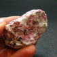 Rare Red Eudialyte from Quebec, Canada - 2.1" - 70.48 Grams