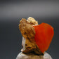 Wulfenite Cluster From Arizona - 0.7"