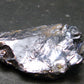 Rare Molybdenite Crystal From Canada - 1.2" - 4.09 Grams