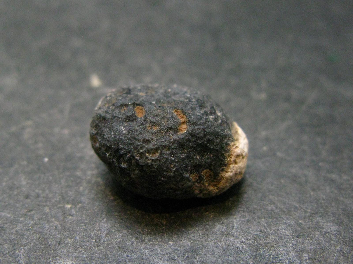 Rare Saffordite Cintamani Stone Pseudotektite Piece from Arizona USA - 10.50 Carats - 0.6"