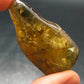 Nice Untreated Unheated Citrine Tumbled Stone from Zambia - 26.47 Grams - 2.0"