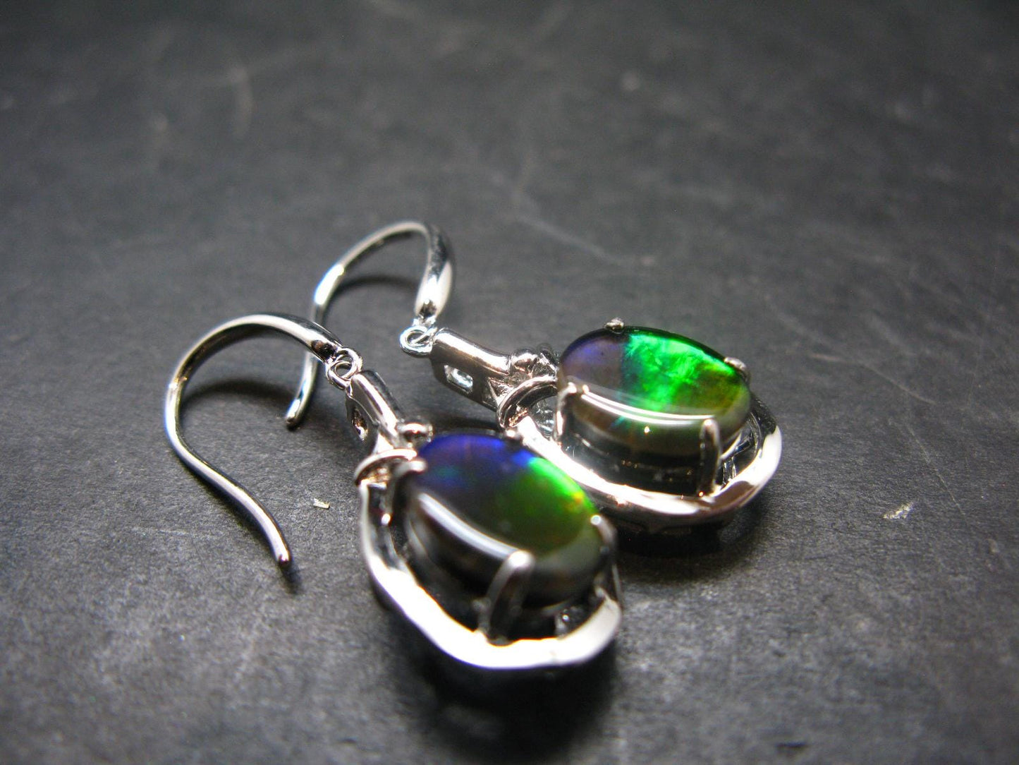 Ammolite Amolite Sterling Silver Earrings From Canada - 1.2"