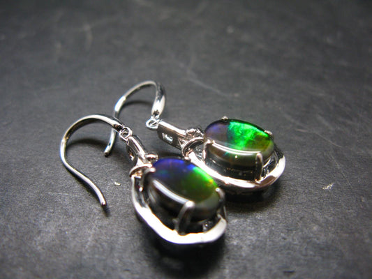 Ammolite Amolite Sterling Silver Earrings From Canada - 1.2"