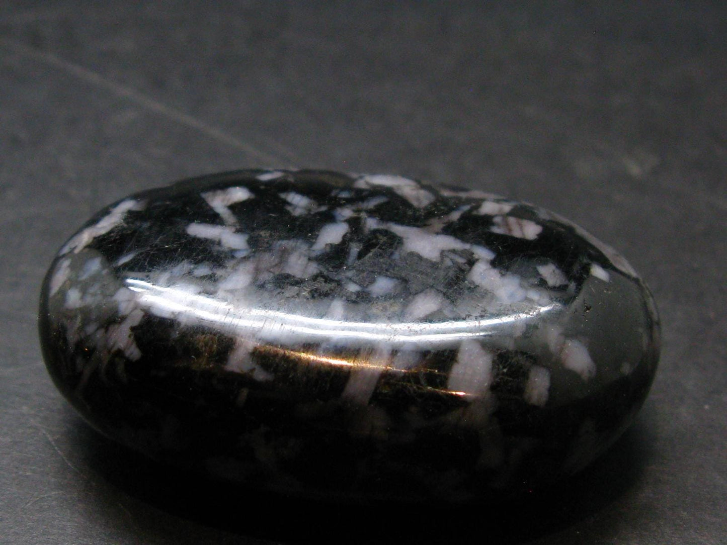 Gabbro Mystic Merlinite Tumbled Piece From Indian Ocean - 2.0"