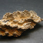 Large Fulgurite Lightning Rock From Sahara Desert - 3.2"