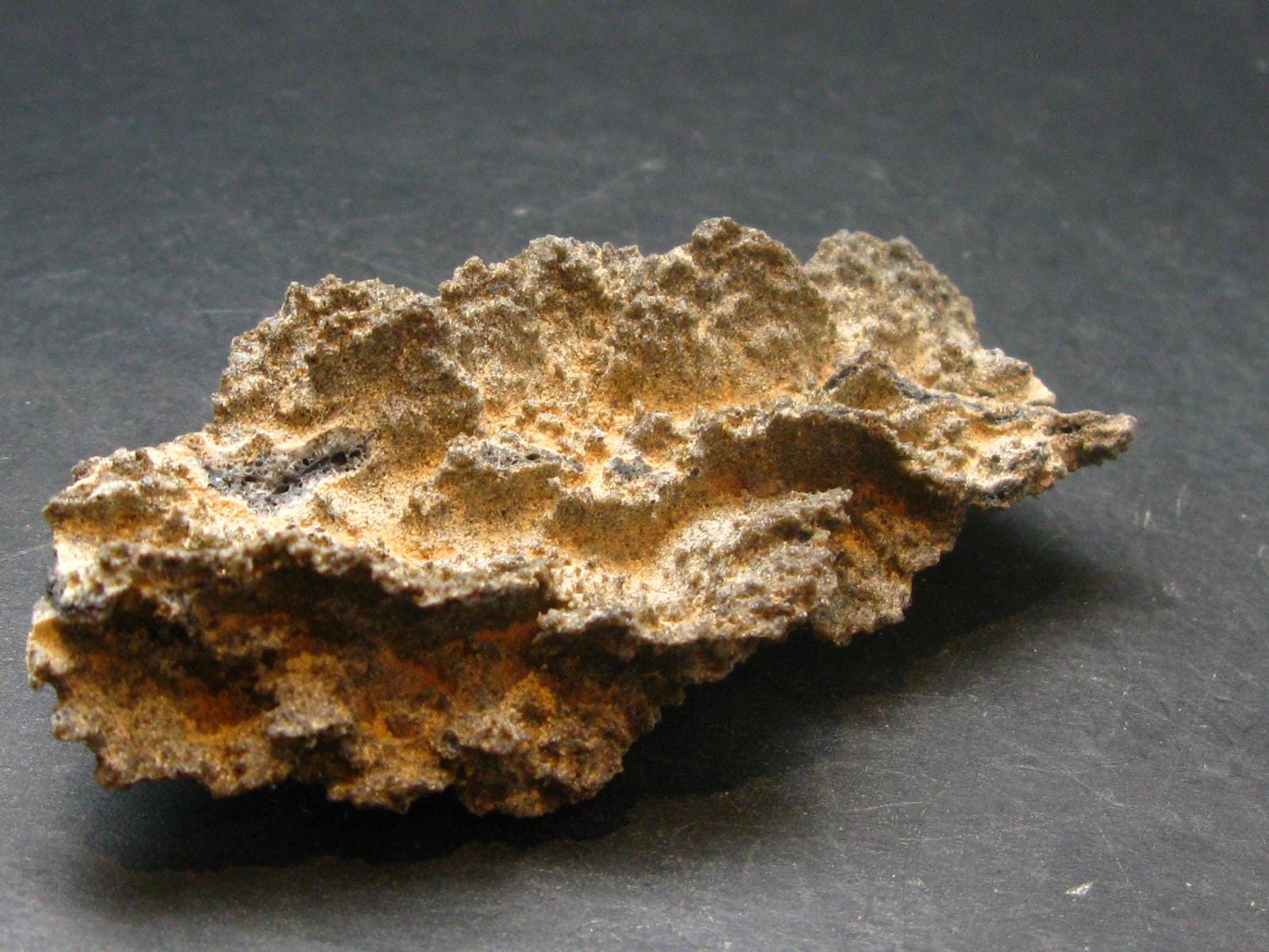 Large Fulgurite Lightning Rock From Sahara Desert - 3.2"