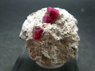 Rare Gem Bixbite Red Emerald Beryl Cluster From Utah USA - 1.6"