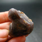 Fire Agate Crystal From Mexico - 1.1" - 21.18 Grams
