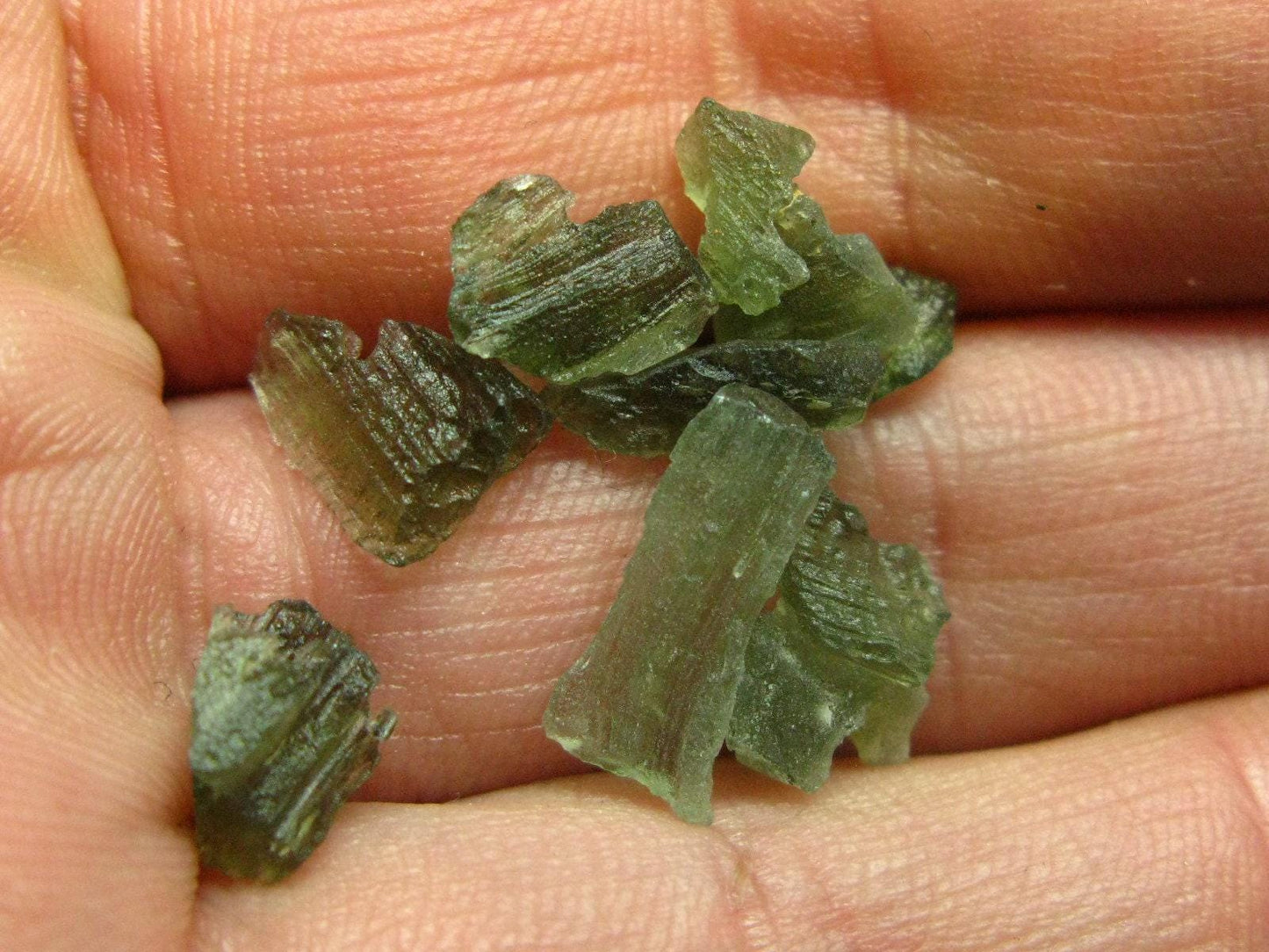 Lot of 10 Rare Moldavite Tektite From Czech Republic - 10 Carats