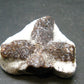 A Perfect Staurolite Crystal from Russia - 1.3" - 15.67 Grams