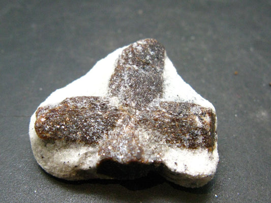 A Perfect Staurolite Crystal from Russia - 1.3" - 15.67 Grams