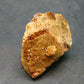 Rare Huge Monazite Crystal From Brazil - 1.3" - 23.85 Grams