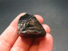 Elite Shungite Raw Piece from Russia - 1.3" - 10.69 Grams