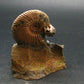 Pyritized Ammonite Fossil On Pyrite Matrix From Russia 150 MYO - 2.4" - 141.74 Grams