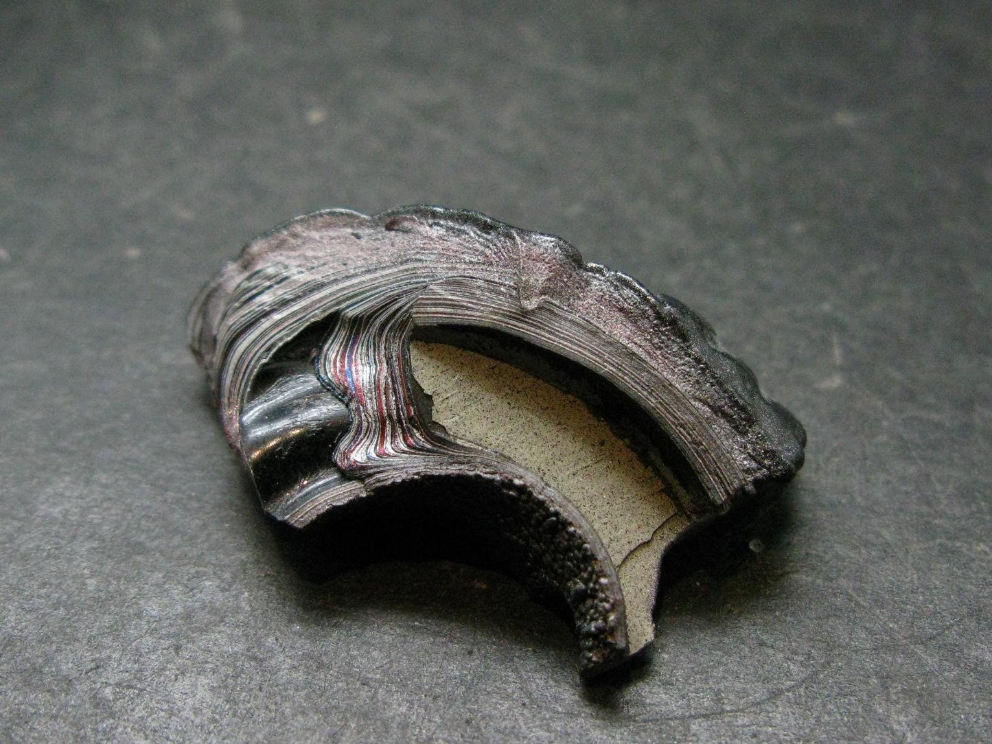 Very Cool Fordite "Detroit Motor City Agate" from Michigan - 1.5"- 7.51 Grams