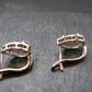 Moldavite Tektite & Red Garnet Silver Earrings from Czech Republic - 2.78 Grams