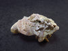 Rare Herderite Cluster from Brazil - 1.2" - 5.66 Grams