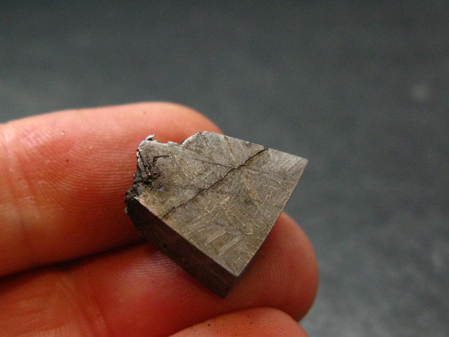 Large Gibeon Meteorite From Namibia - 0.5" - 7.0 Grams