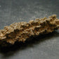 Large Fulgurite Lightning Rock From Sahara Desert - 2.7" - 7.74 Grams