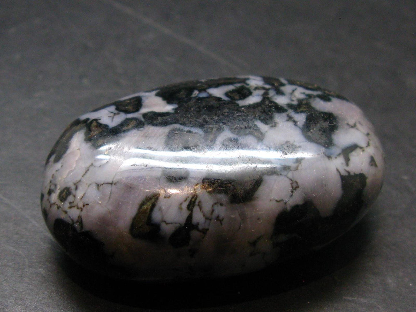 Gabbro Mystic Merlinite Tumbled Piece From Indian Ocean - 2.0"