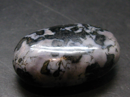 Gabbro Mystic Merlinite Tumbled Piece From Indian Ocean - 2.0"