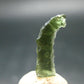 Moldavite Tektite Raw Piece from Czech Republic - 0.8" - 5.0 Carats - 1.0 Grams