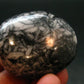 Pinolite Tumbled Stone from Austria - 1.7"