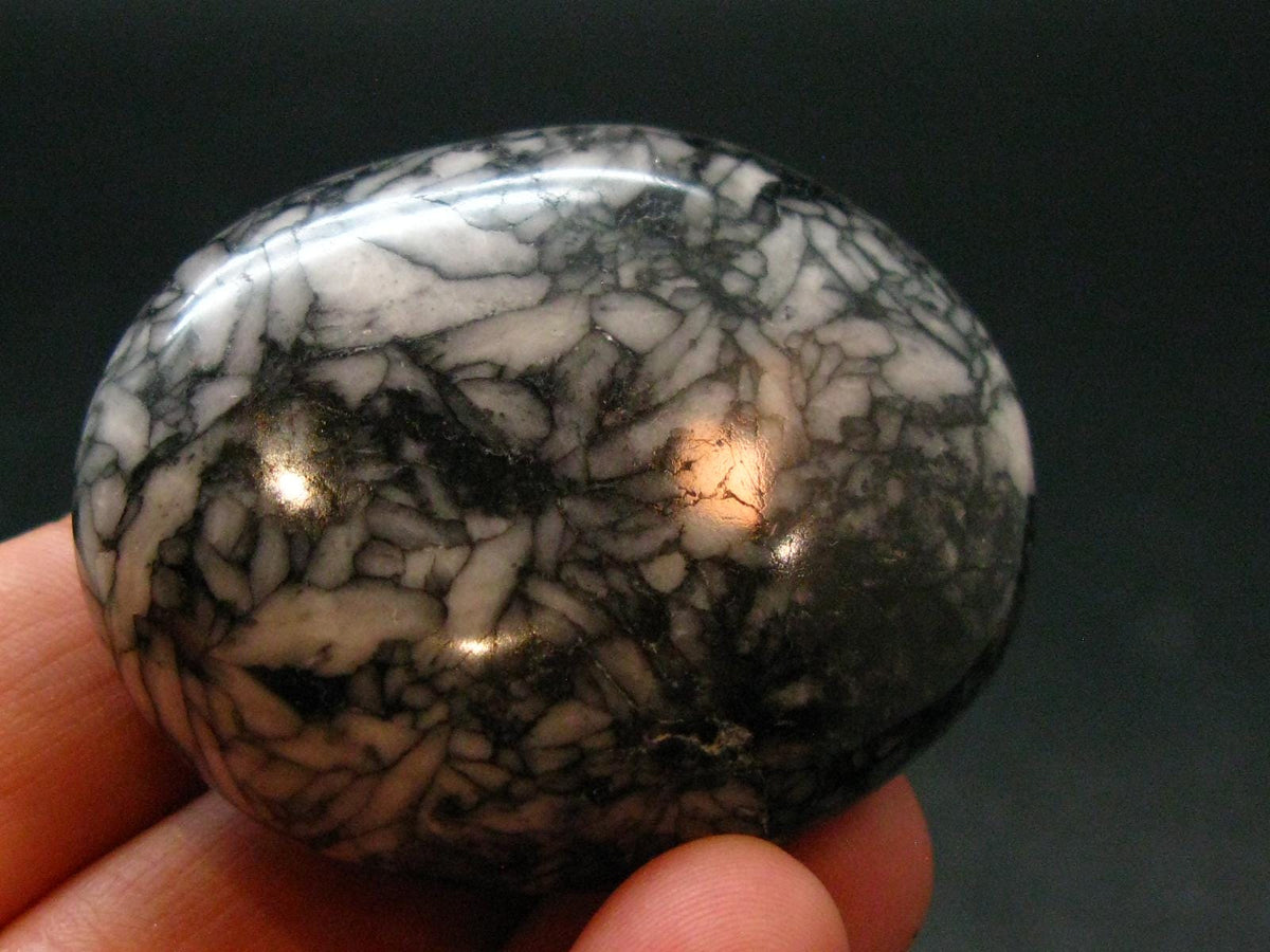 Pinolite Tumbled Stone from Austria - 1.7"