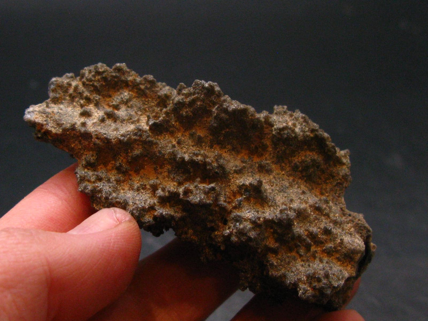 Large Fulgurite Lightning Rock From Sahara Desert - 2.7"