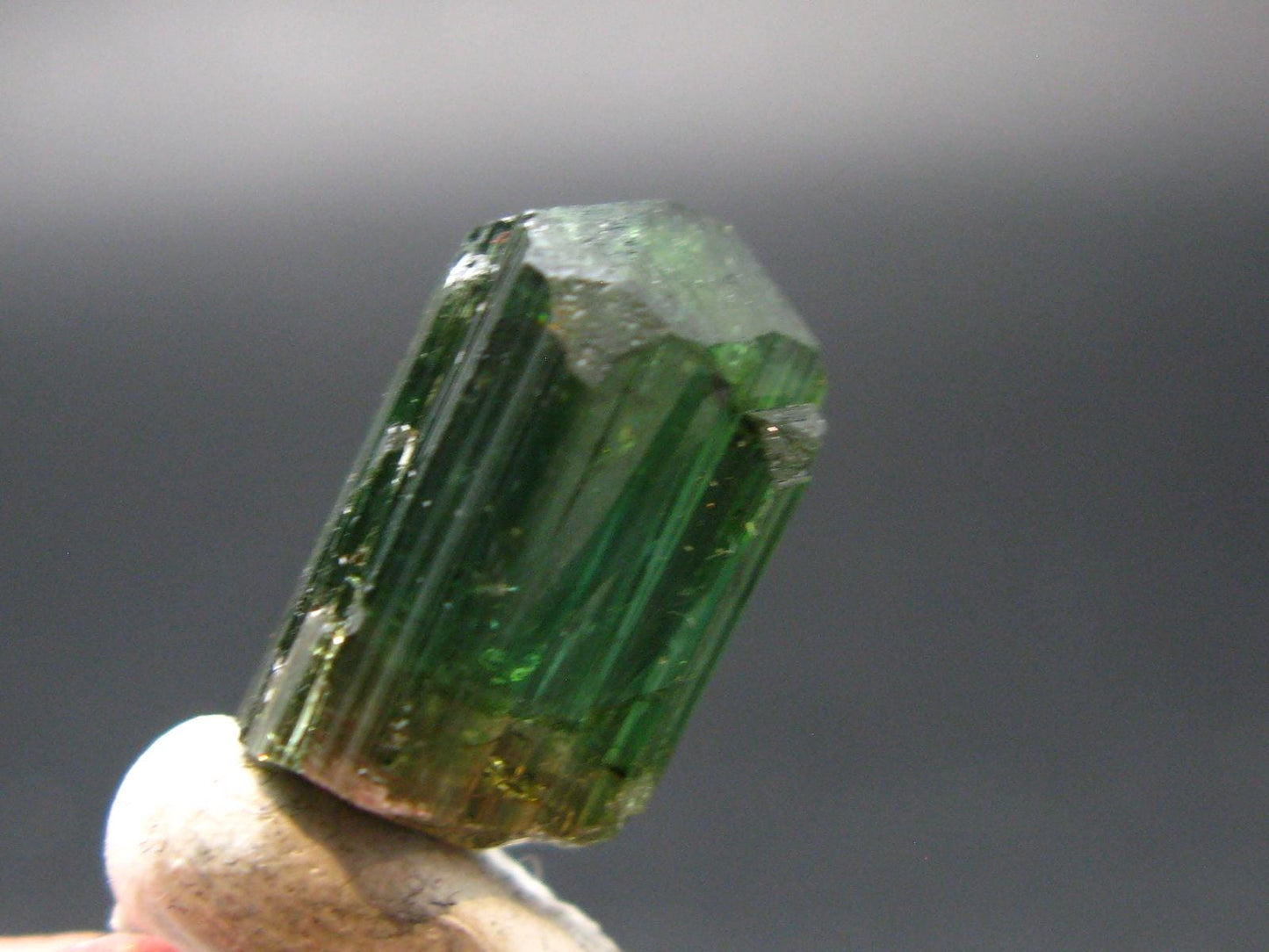 Rare Watermelon Tourmaline Crystal From Brazil - 0.6"