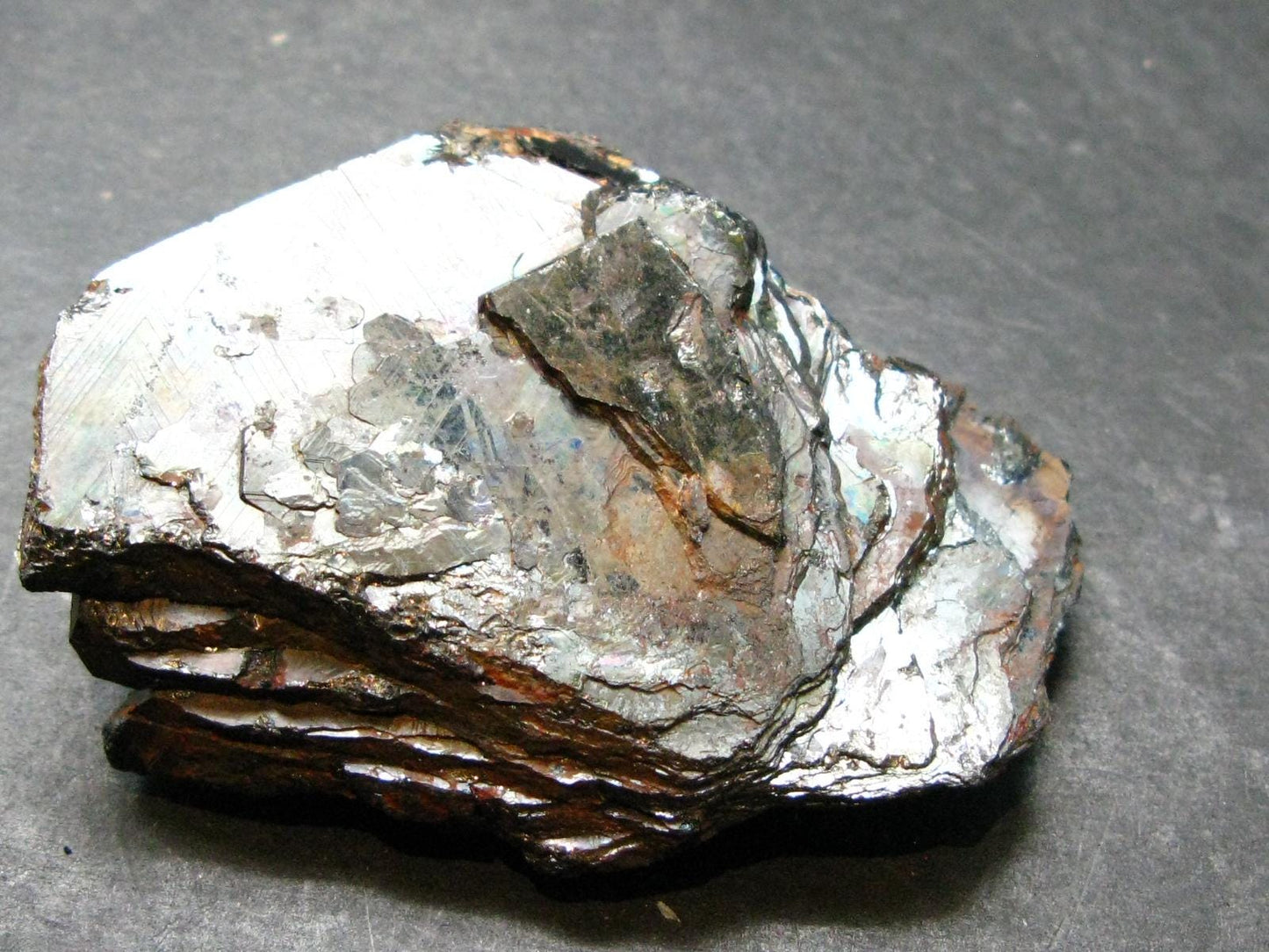 Large Hematite "Iron Rose" from Brazil - 2.5" - 111.89 Grams