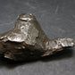 Sikhote Alin Meteorite From Russia - 27.97 Grams - 1.6"