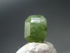 Rare Gem Ludlamite Cut Stone from Mexico - 0.72 Carats