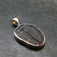 Trilobite Silver Pendant from USA - 1.0" - 1.91 Grams