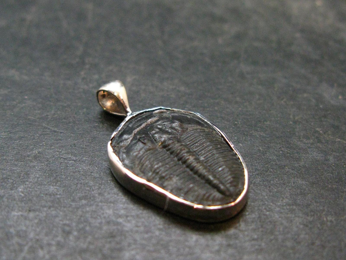 Trilobite Silver Pendant from USA - 1.0" - 1.91 Grams