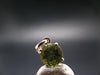 Moldavite Tektite Silver Pendant from Czech Republic - 0.6" - 0.95 Grams