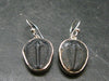 Trilobite Silver Earrings from USA - 1.3" - 3.76 Grams