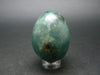 Extremely Rare Grandidierite Egg From Madagascar - 64.75 Grams - 1.7"