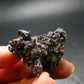 Brookite On Quartz Cluster From Arkansas - 15.08 Grams - 1.5"