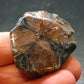 Andalusite Chiastolite Crystal From China - 1.4" - 20.82 Grams