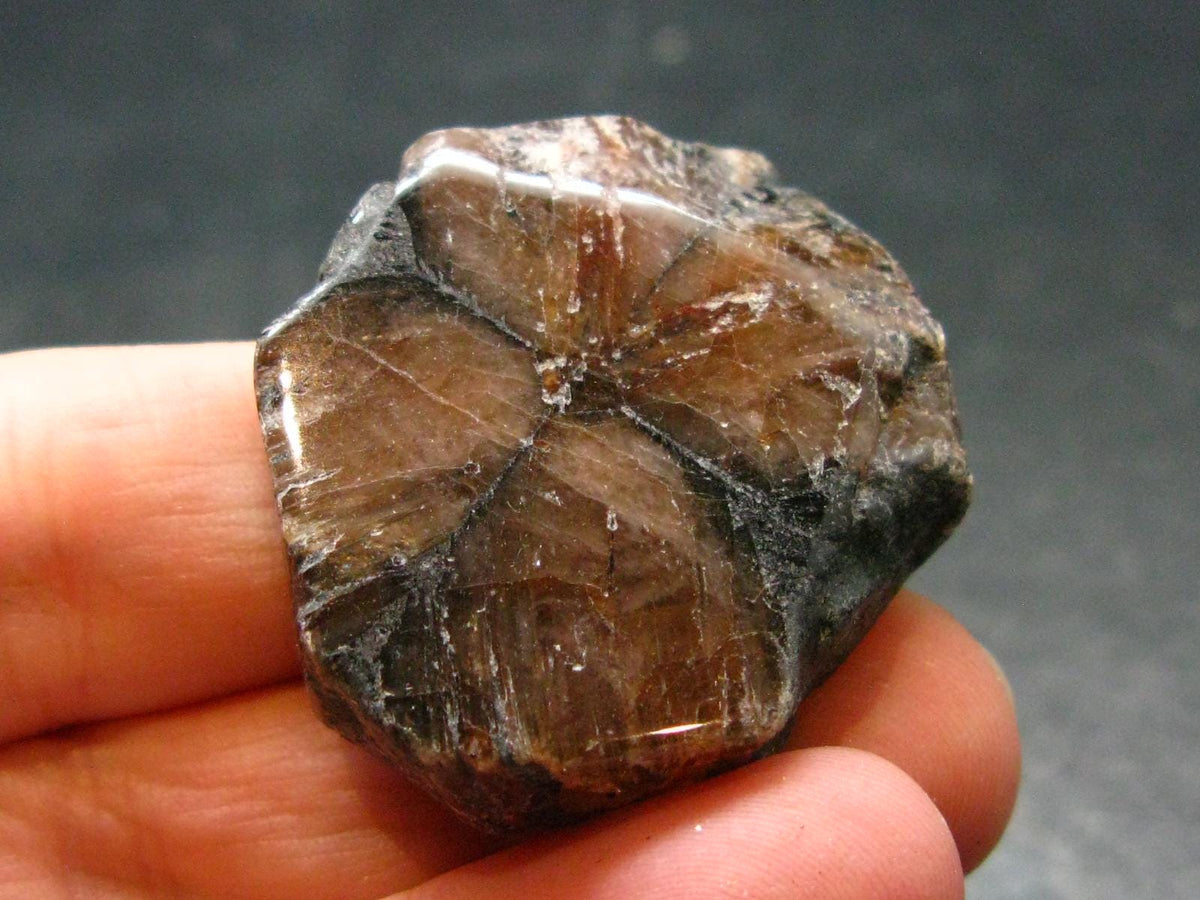 Andalusite Chiastolite Crystal From China - 1.4" - 20.82 Grams