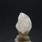 Phenakite Phenacite Crystal from Nigeria - 10.67 Carats