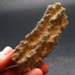 Large Fulgurite Lightning Rock From Sahara Desert - 3.2"